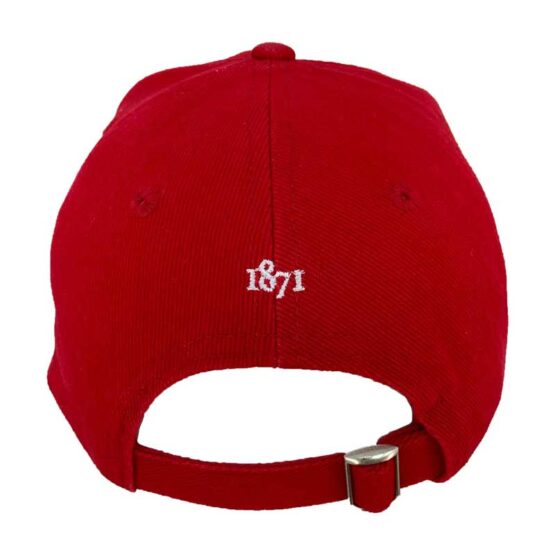 Lions Rugby Cap - Afbeelding 2