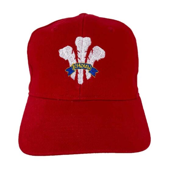 Wales Rugby Cap